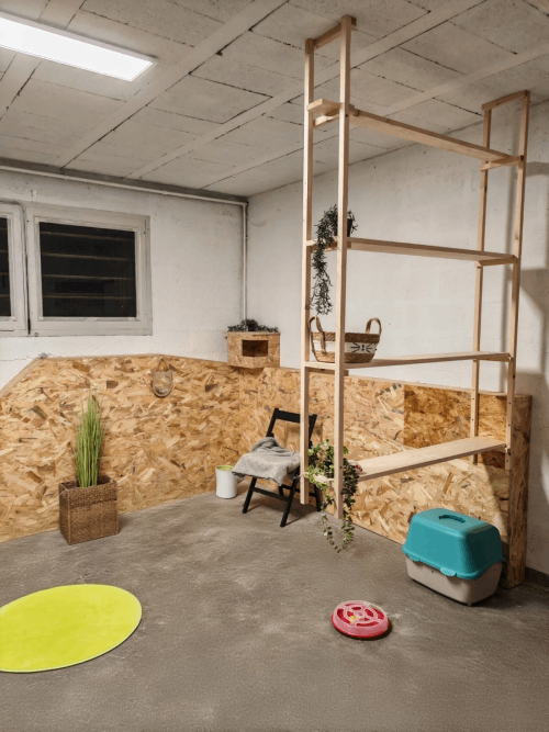 salle pension pour chats